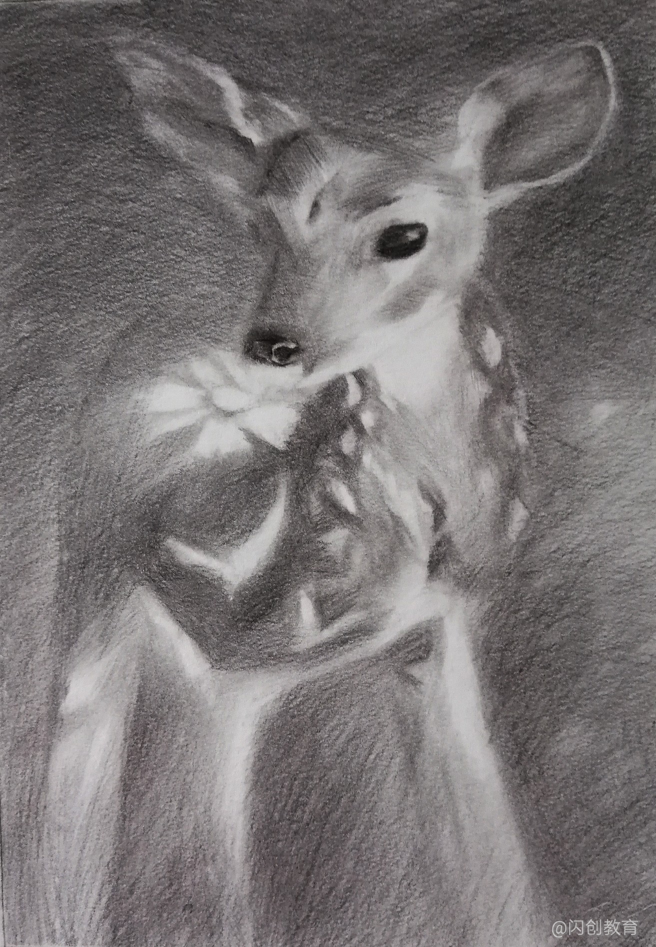 19,暗香疏影-小梅花鹿(2)