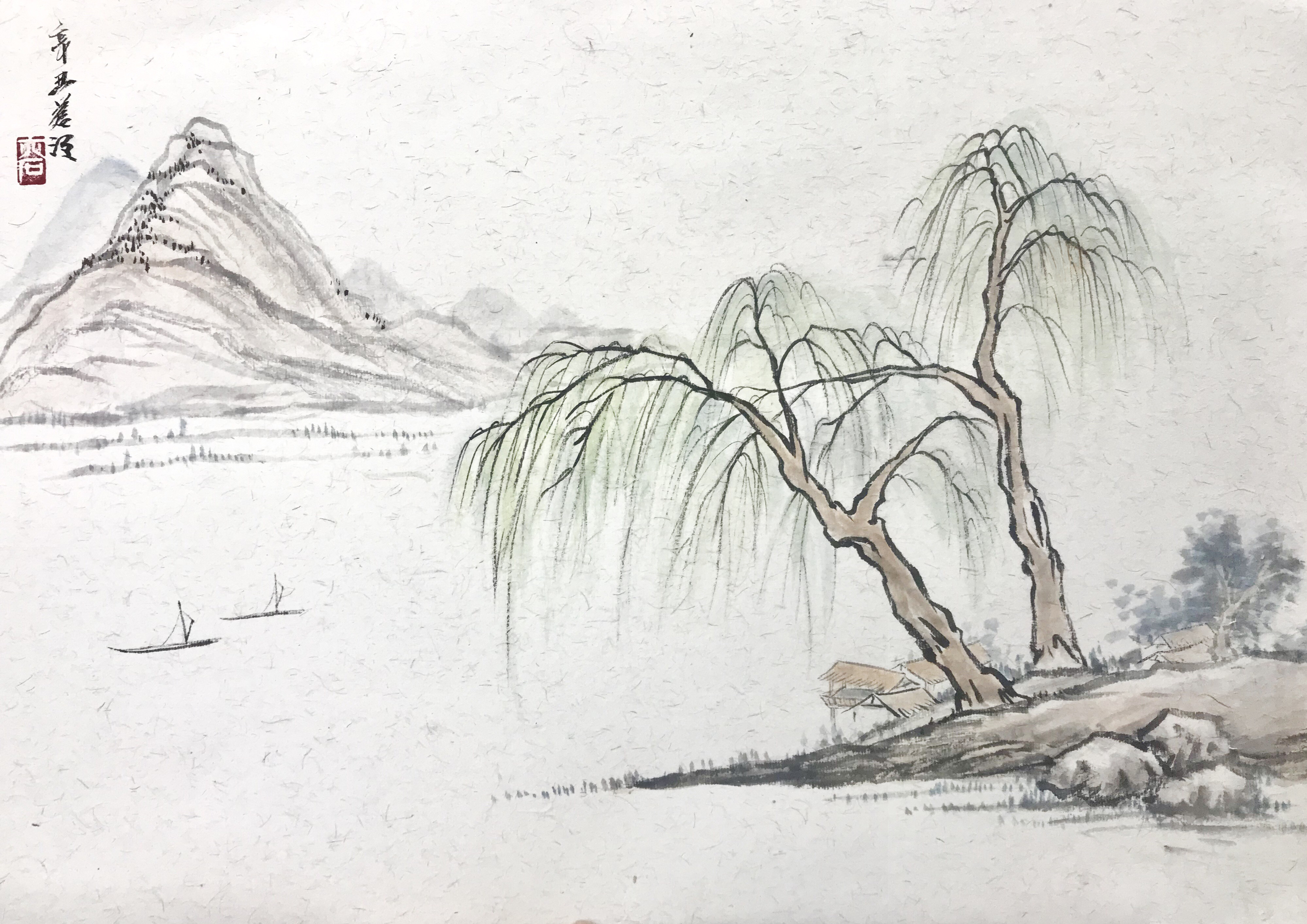 河边柳树绘画图片